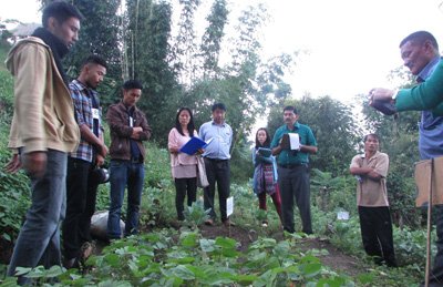 October 10, 2015 nü B.Sc. (Agri) kaketshirtemi Kidima yimtsüng nung field demonstration agiba angur.